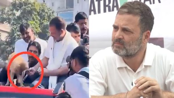 நாய் பிஸ்கட் சர்ச்சை.. 