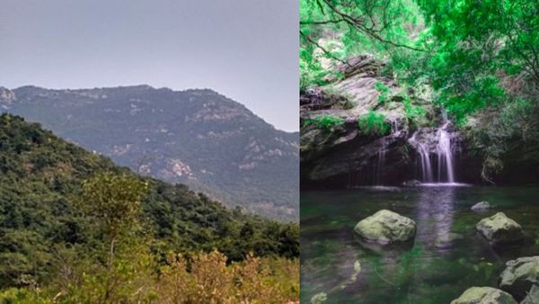 இந்த அழகை ஏன் ஒளிச்சி வெச்சுருக்காங்க? சென்னை அருகே குட்டி கேரளா.. ஞாயிறு விடுமுறைக்கு சூப்பரான இடம்