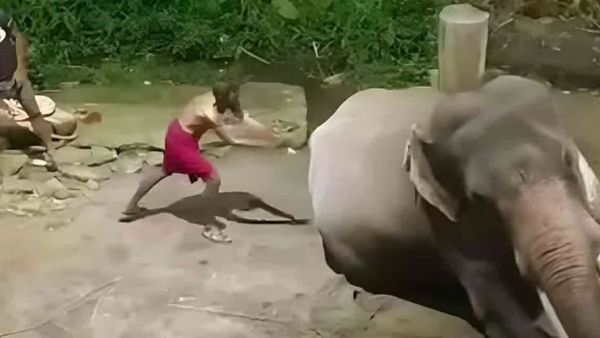 ஜெயலலிதாவின் 