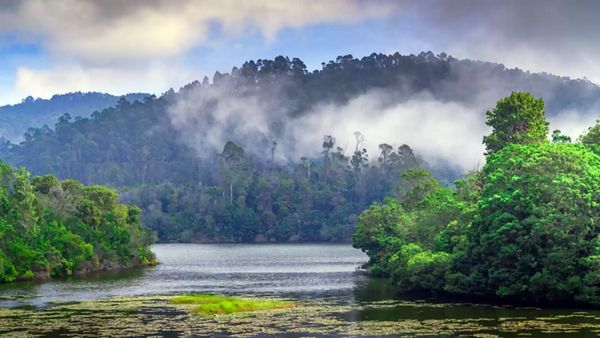 கொடைக்கானல் டூர் போக பிளான் பண்றீங்களா.. இங்க மட்டும் போக முடியாது.. வனத்துறை முக்கிய அறிவிப்பு 
