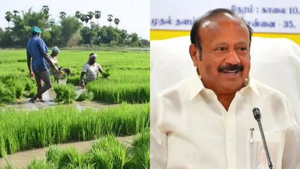 இயற்கை பேரிடர்.. பெருமழையால் பயிர் சேதம்.. விரைவில் நிவாரணம்.. வேளாண் அமைச்சர் உறுதி