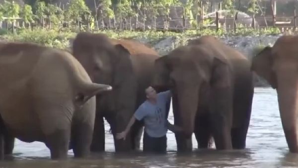 பல வருஷம் கழிச்சு வந்து வனமகன், பார்த்த உடன் ஓடி வந்து பாசத்தை பொழிந்த யானைகள்.. நெகிழ வைத்த வீடியோ