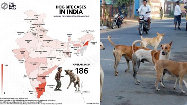 தெருநாய்களை லேசா நினைச்சுடாதீங்க! டேட்டா சயிண்டிஸ்ட் தரும் அதிர்ச்சியூட்டும் தகவல்!