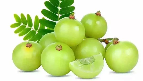 நெல்லிக்காய் சூப்பர்.. தினம் ஒரு நெல்லிக்காய் போதும்.. ஆயுசை கூட்டும் ஆபத்பாந்தவன்.. ஆச்சரிய நெல்லி