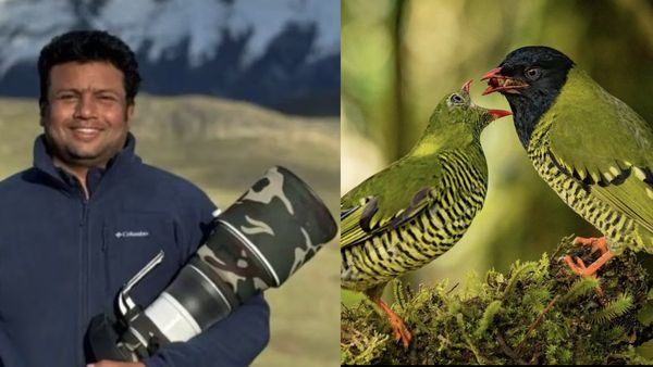 இயற்கையின் காதலர் வெற்றி துரைசாமி.. இன்ஸ்டாவில் ரசனையான புகைப்படங்கள்.. இதெல்லாம் இவர் எடுத்ததா?