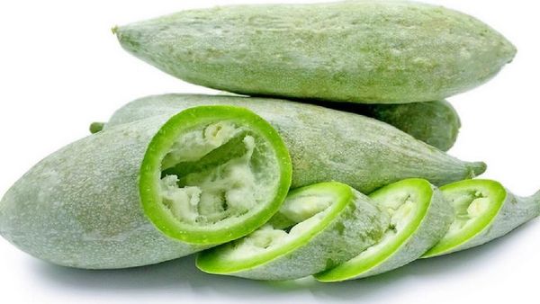 ஒரே காய்.. புடலங்காயின் சூப்பர் ஸ்பெஷாலிட்டி இதுதான்.. அட்டகாசமான புடலங்காய் இலை ஜூஸ்