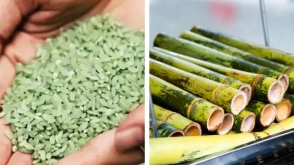 மூங்கில் அரிசி... அசால்ட்டா வெயிட் குறைக்கும் மூங்கிலரிசி.. வீட்டில் குட்நியூஸ் வரும்.. என்ன பாருங்க