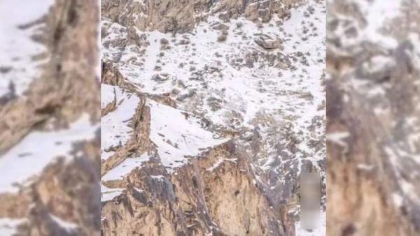 Optical Illusion: மலை பூரா பனி! அதில் ஒரு சிறுத்தை! எங்க இருக்குணுதான் தெரியல! நீங்கள் கண்டுபிடிங்க