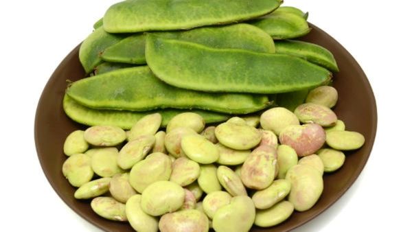 மொச்சை கொட்டை.. எண்ணிலடங்கா நன்மை மொச்சை பயறு.. ஏகப்பட்ட பலன்.. புற்றுநோயை அண்டவிடாத மொச்சைக்கொட்டை