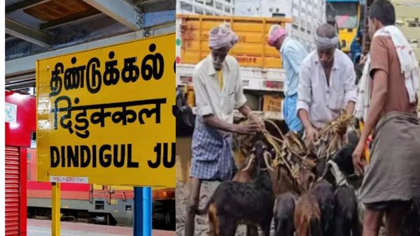 1 ஆடு.. திண்டுக்கல்லே ஹேப்பி.. அய்யலூர் விவசாயிகள் குஷி.. பறக்கும் படை கெடுபிடியை மீறி பாய்ந்த சேவல்