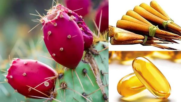 பனங்கிழங்கில் பலன்..கருப்பை கட்டி கரைய சூப்பர் உணவு.. இந்த பழம் சாப்பிட்டால், 