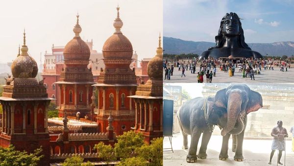 சிவராத்திரிக்கு யானைகள் ஏன் தூங்காம இருக்கணும்? பரபர வாதம்! ஈஷா யோகா மையத்திற்கு ஐகோர்ட் உத்தரவு!