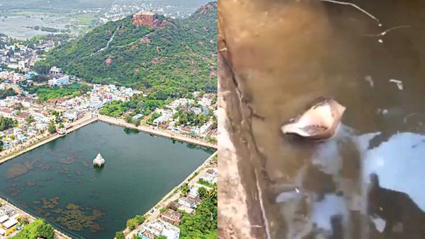 சங்கு தீர்த்த குளத்தில் 12 ஆண்டுகளுக்கு பிறகு தோன்றிய அதிசயம்.. திருக்கழுங்குன்றத்தில் பரவசம்