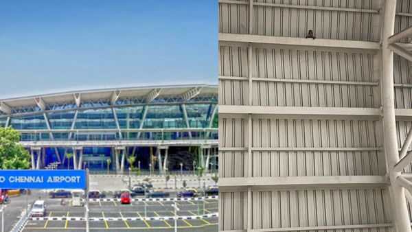 சென்னை விமான நிலையத்தில் சுற்றித் திரியும் குரங்குகள், நாய்கள்! பயணிகள் அவதியுறுவதாக புகார்!
