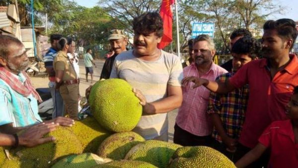 மன்சூர் அலிகானுக்கு கிடைத்த சின்னம் என்னன்னு பாருங்க! இனி பலாப்பழம் வேலூரில் என்ன பாடுபடப் போகுதோ!?