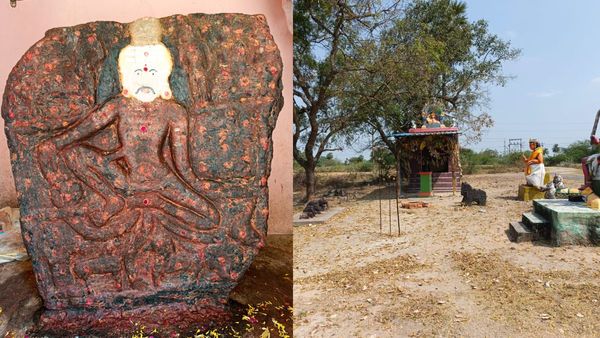 உளுந்தூர்பேட்டை ஏரிக்கரையில் நீளமான காதுகளுடன் குதிரை, சேவல், நாயுடன் தனித்துவமான ஐயனார் சிலை!