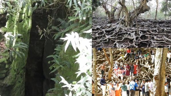 “மஞ்சும்மல் பாய்ஸ்” படம் இருக்கட்டும்.. “மஞ்சும்மல்” எங்கே இருக்கு? அங்குள்ள சுற்றுலா தலங்கள் என்ன?