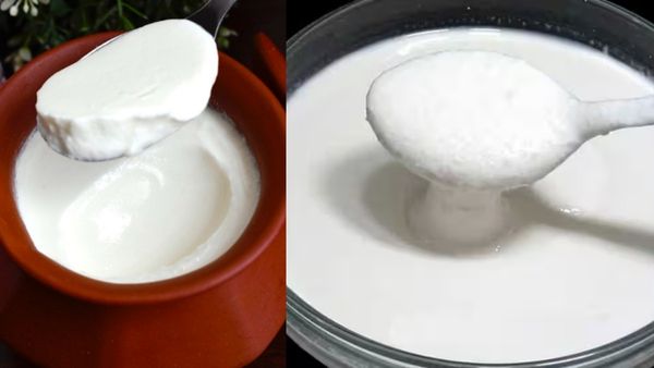 இட்லி மாவு இருக்கா? நீங்க நைட்டில் தோசை சாப்பிடறீங்களா.. நம்பலேன்னாலும் இதான் நிஜம்.. சூப்பர் டிப்ஸ்