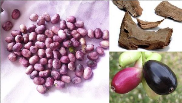 சர்க்கரை நோயாளி.. 