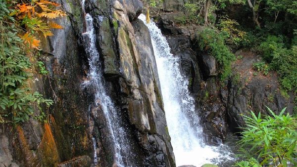 கொடைக்கானல் வருவோரை உற்சாகத்தில் ஆழ்த்தும் புல்லாவெளி அருவி.. ஆபத்தை அறியாத மக்கள் 