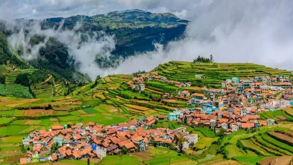 யார் கண்ணுபட்டதோ... மேற்கு தொடர்ச்சி மலையின் தேவதை.. கொடைக்கானல் இப்ப எப்படி இருக்கு தெரியுமா?