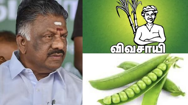 ஒரிஜினல் ஓபிஎஸ்ஸை விடுங்க.. மற்ற பன்னீர் செல்வங்களுக்கு என்னென்ன சின்னம்? பட்டாணி முதல் விவசாயி வரை!