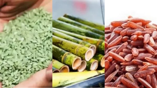 மூங்கில் அரிசி.. இதென்ன ஆச்சரியம்.. 4 அரிசி சோறு சாப்பிட்டால் உடல் எடை ஈஸியா குறையுமா? பெஸ்ட் டிப்ஸ்