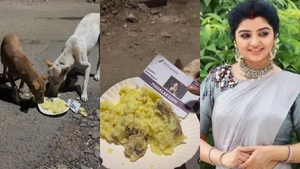 தெருவோர நாய்களுக்கு சாப்பாடு வைத்த மகாலட்சுமி.. ஆனால் அந்த நோட்டீஸ்! குவியும் நெகட்டிவ் கருத்துக்கள்