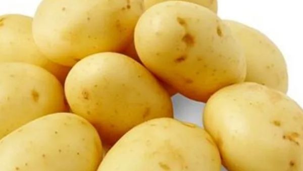 யாரெல்லாம் உருளைக்கிழங்கு தொடவே கூடாது தெரியுமா? உருளைக்கிழங்கில் ஆச்சரியம் பாருங்க.. பெஸ்ட் இதுதான்