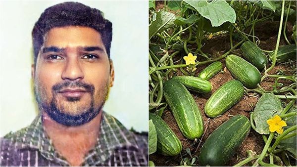 வெளிநாட்டில் டாக்டர் வேலையை விட்டுவிட்டு.. வெள்ளரிக்காய் விற்க தேனி வந்தவர்.. பெரும் சோகம்!