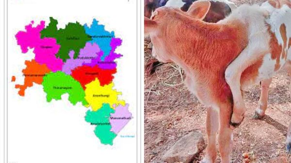 சிலிர்ப்பில் புதுக்கோட்டை.. ஞானசேகரன் வீட்டில் ஒரே ஆச்சரியம்.. திடீரென திரண்டு வந்த மக்கள்.. அதிசயம்