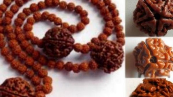 ருத்ராட்சை..கழுத்தில் அணிந்துகொண்டு இதை மட்டும் செய்யாதீங்க..ருத்ராட்சம் செய்யும் அற்புதம்.. பாருங்க