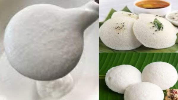 தோசை மாவு அரைச்சிட்டீங்களா? 