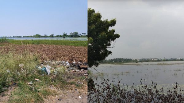 உலக நாடுகளில் தண்ணீர் பஞ்சம்! அட்சய பாத்திரத்தை தவறவிடும் தமிழகம்! நந்திவரம் ஏரியை பாருங்க