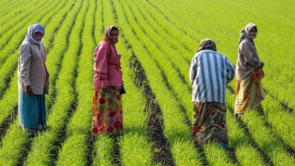 அனலை கிளப்பிய நீயா நானா.. இயற்கை விவசாயம் டூ சாதி வெறி.. ஜப்பானில் வாழும் முனைவர் அதிரடி பதில்