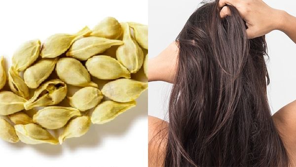 கத்தை கத்தையா கொட்டுதா தலைமுடி.. ஆரஞ்சு விதை இருக்கா? அப்ப இந்த எண்ணெய் ட்ரை பண்ணுங்க.. செம ரிசல்ட்