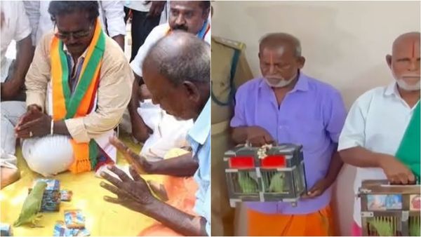 கடலூரில் தங்கர்பச்சான் வெற்றி என்று கூறிய கிளி ஜோதிடர் விடுவிப்பு.. கைது ஆனதன் பின்னணி இதுதான்!