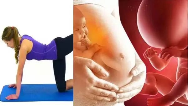 தொடை சதை டேஞ்சர்.. பெரிய தொடைகள் இருக்கா? தொடை கொழுப்பை குறைக்கணுமா? பெண்களுக்கு குட் நியூஸ்.. குஷி