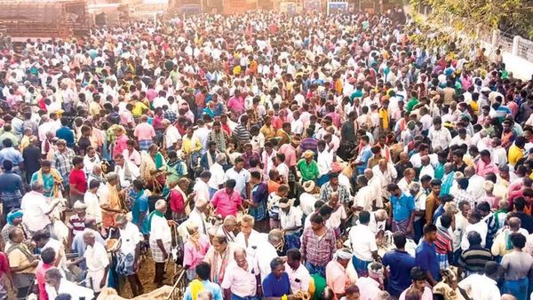 ரம்ஜான் பண்டிகை.. திருமங்கலத்தில் திகைப்பு.. ரூ.6 கோடிக்கு ஆடுகள்.. குஷியில் மதுரை விவசாயிகள்.. சபாஷ்