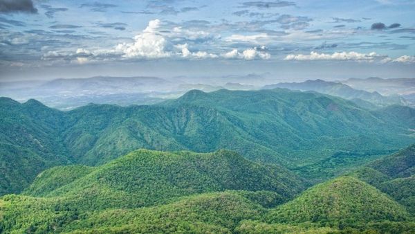 பாக்கெட்டை கடிக்காத பட்ஜெட் சுற்றுலா! இருக்கவே இருக்கு சின்ன இளவரசி சிறுமலை..! இவ்வளவு தான் செலவா?