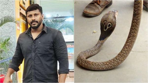 கடலூரில் பாம்பு பிடிக்கும் தன்னார்வலர் பாம்பு கடித்து உயிரிழப்பு.. சின்ன தவறால் நடந்த பெரிய சோகம்