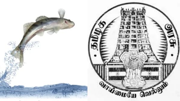 வங்கக் கடலில் மீன்பிடிக்க தடை.. இன்னும் 2 மாசத்துக்கு வேற வழியே இல்லை.. இதோ கோட்டைக்கு போன கோரிக்கை