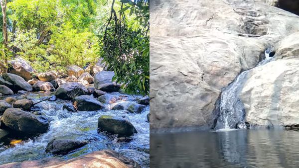 கொடைக்கானல் அடிவாரத்தில் மறைந்திருக்கும் அற்புதம்.. பலருக்கும் தெரியாத இயற்கை நீச்சல் குளம் 