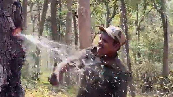 இந்தியாவிற்கே அதிசயம்.. இந்த மரத்திற்குள் தண்ணீர் தொட்டியே இருக்கு.. நிரூபித்த பழங்குடி மக்கள்