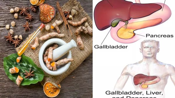பனங்கிழங்கு பெஸ்ட்.. பித்தம் கெட்டால் ரத்தமும் கெடுமாம்.. பித்தத்தை பஞ்சாய் போக்கும் சூப்பர் உணவுகள்