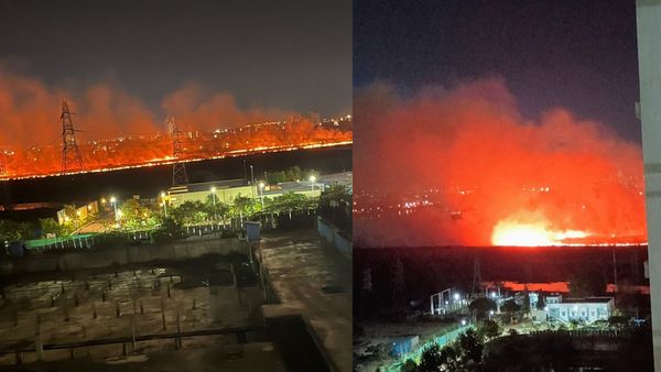 சென்னையில் பயங்கர காட்டுத்தீ.. அரை கிமீ தூரம் பற்றி எரியும் பெரும்பாக்கம் சதுப்பு நிலம் - பரபரப்பு