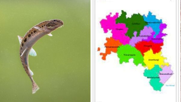 புதுக்கோட்டையில் 