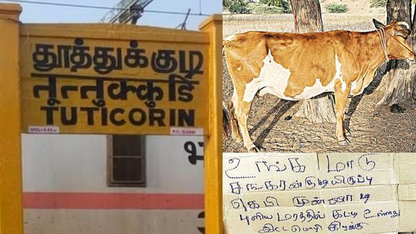 பட்.. உங்க நேர்மை எனக்கு பிடிச்சிருக்கு.. தூத்துக்குடியில் மாடுகளை திருடியவர் கொடுத்த இன்ப அதிர்ச்சி