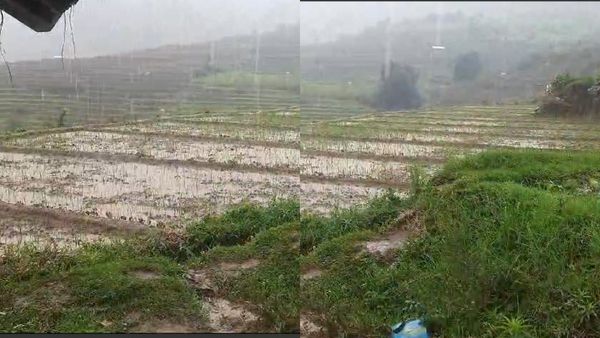 கொடைக்கானல் கூடுதலா குளிருதே.. மதுரையும் மழையில் நனையுதே! கோடையில் குளிர வைத்த வருண பகவான்..!