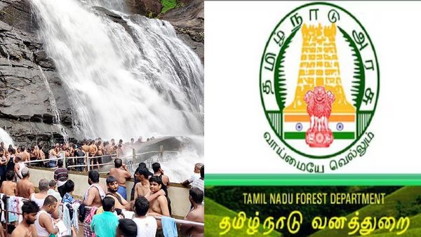 இனி ஈஸியா போக முடியாது.. வனத்துறை கட்டுப்பாட்டில் செல்லும் குற்றாலம்.. ரூல்ஸ் எப்படி மாறும்?